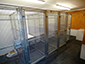 Our Cattery