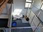 Three happy kennels customers