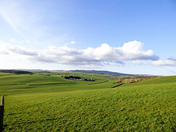 High Gro Grounds