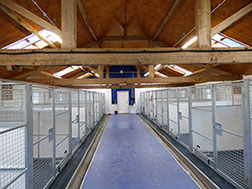 Dog Kennels