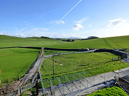 Outdoor Excercise Area