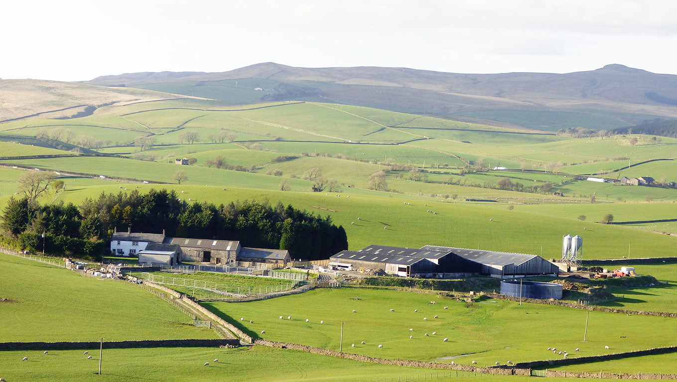 Kennels near skipton